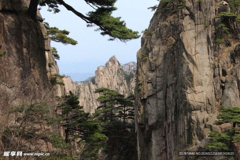 壮丽黄山奇峰景观