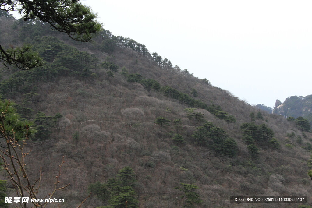 山峦景色 植被稀疏的山坡