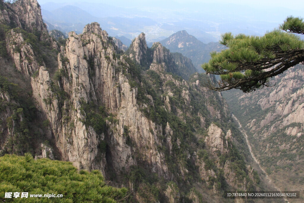 壮丽黄山奇峰与苍松景观