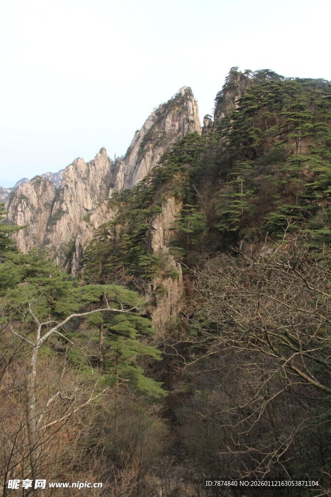 巍峨山峰与葱郁植被