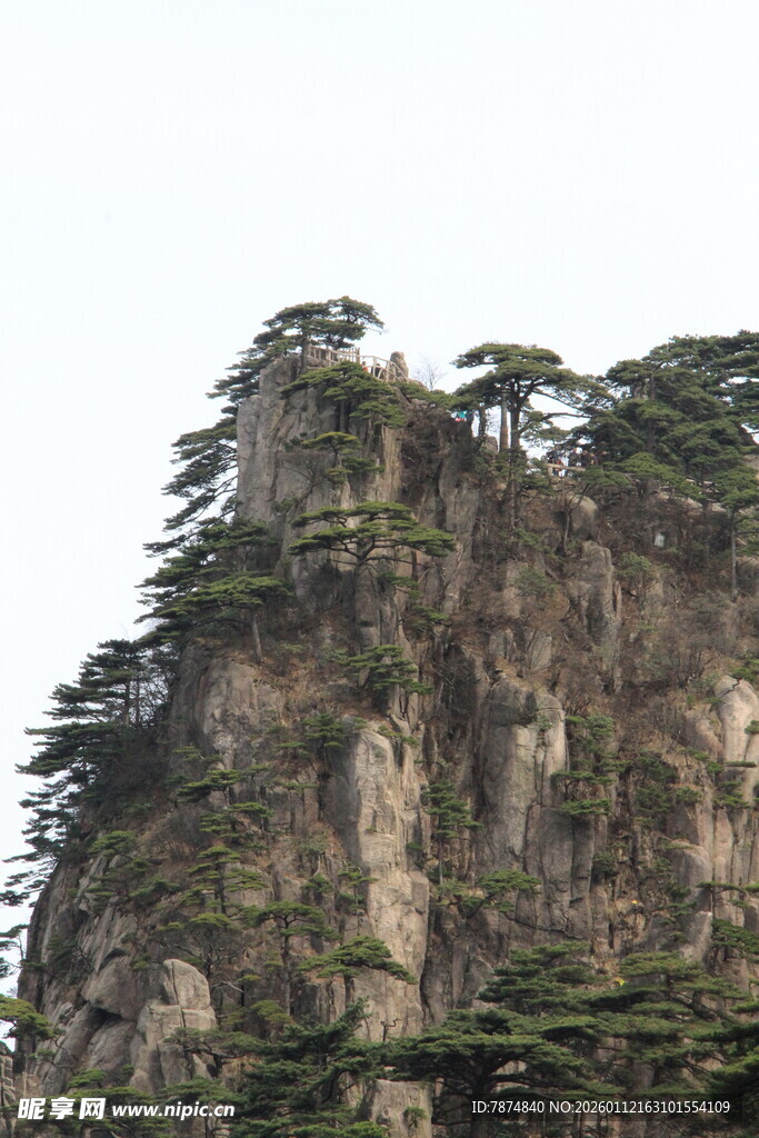 巍峨山峰上的葱郁树木