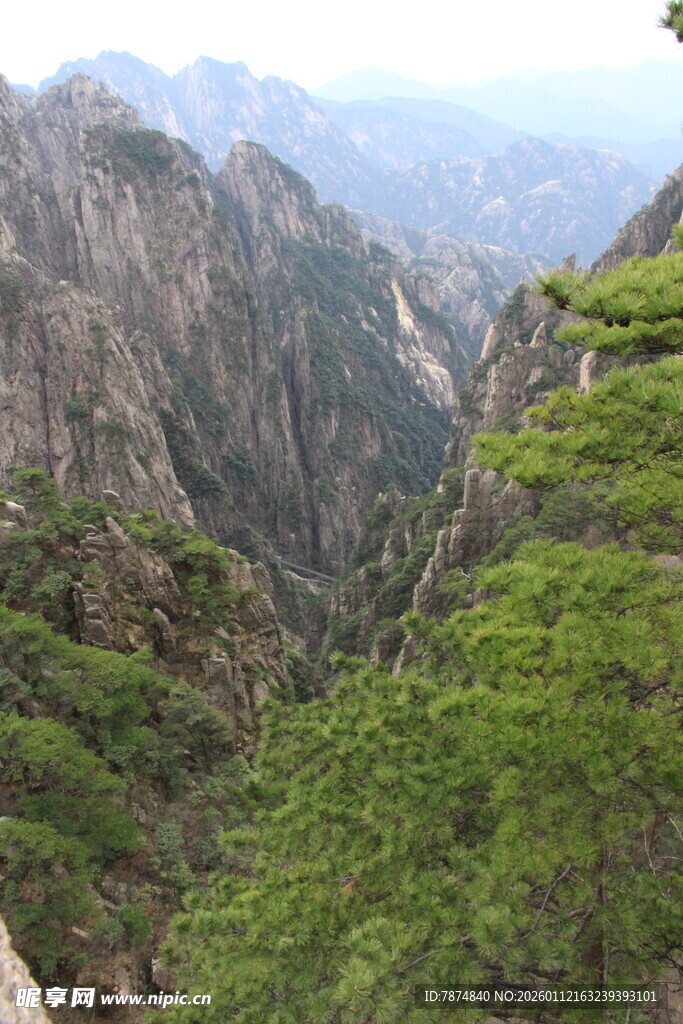 黄山壮丽山景绿意盎然