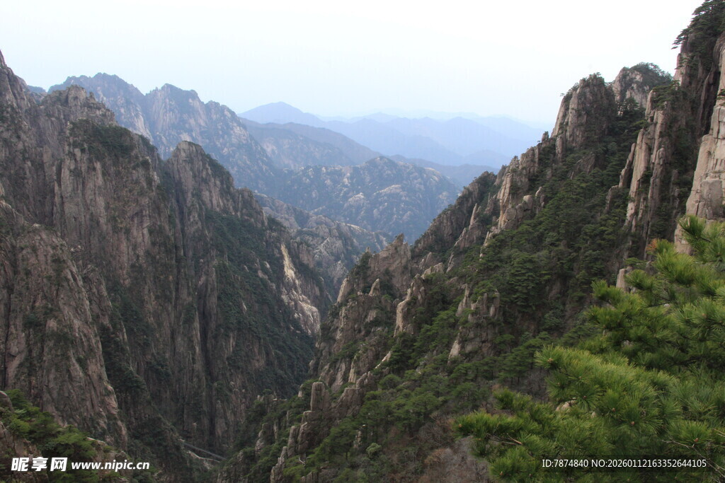 壮丽黄山峡谷景观