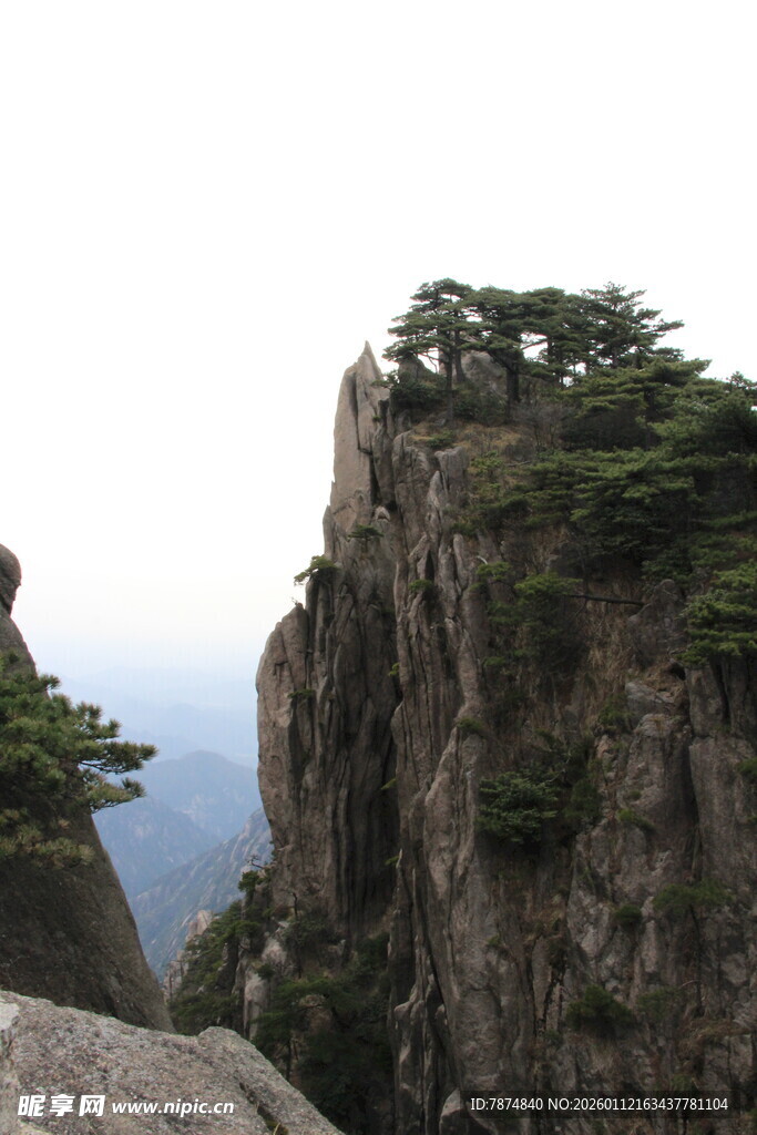 峻峭山峰上的苍松