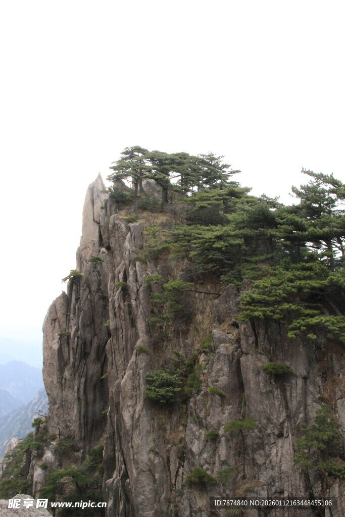 巍峨山峰上的翠绿松树