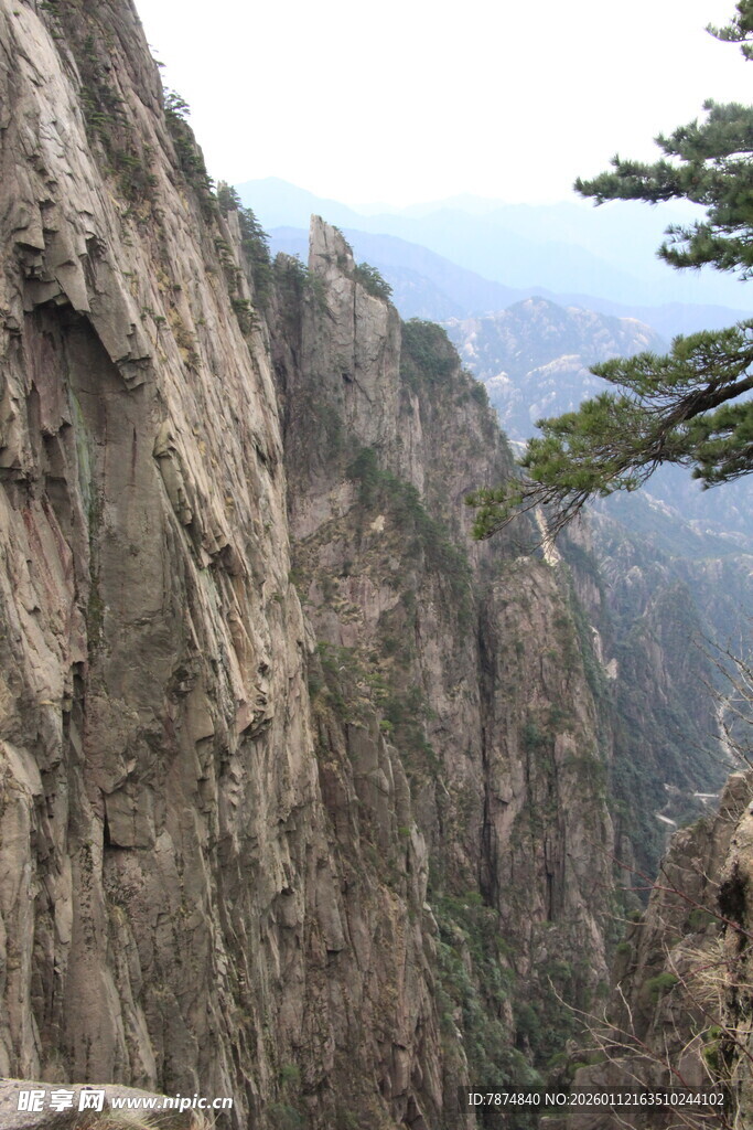 巍峨黄山奇峰与孤松