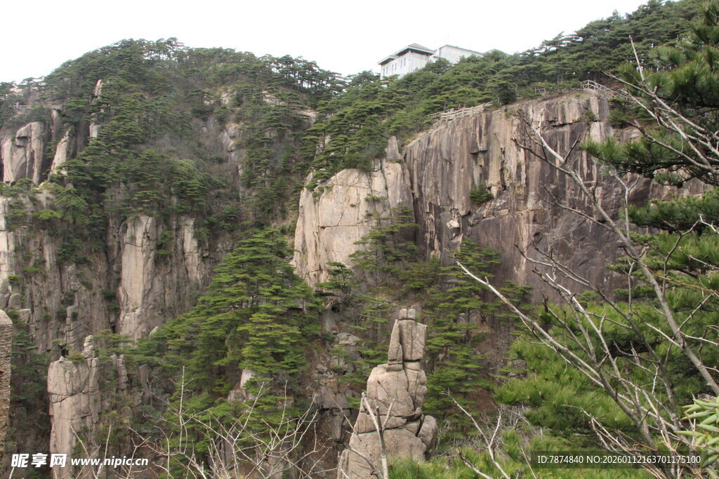 陡峭山壁上的葱郁植被