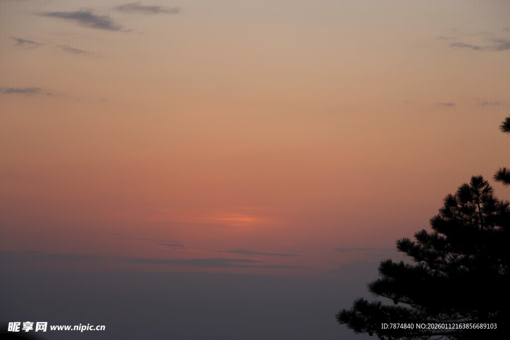 日落时分的天空与树木