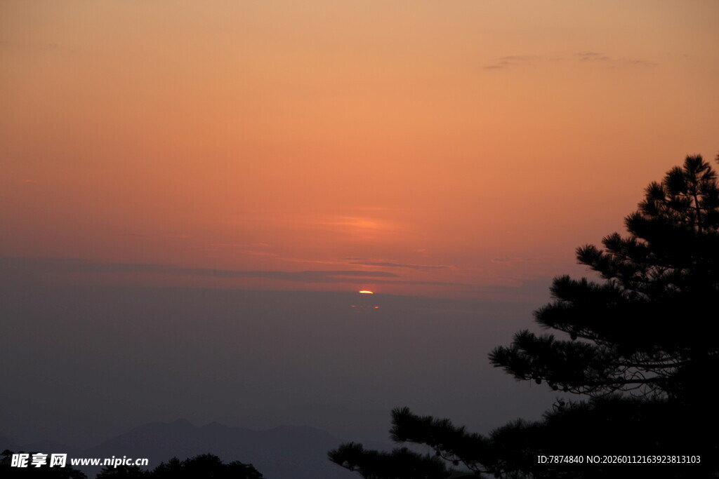 日落时分的树梢美景