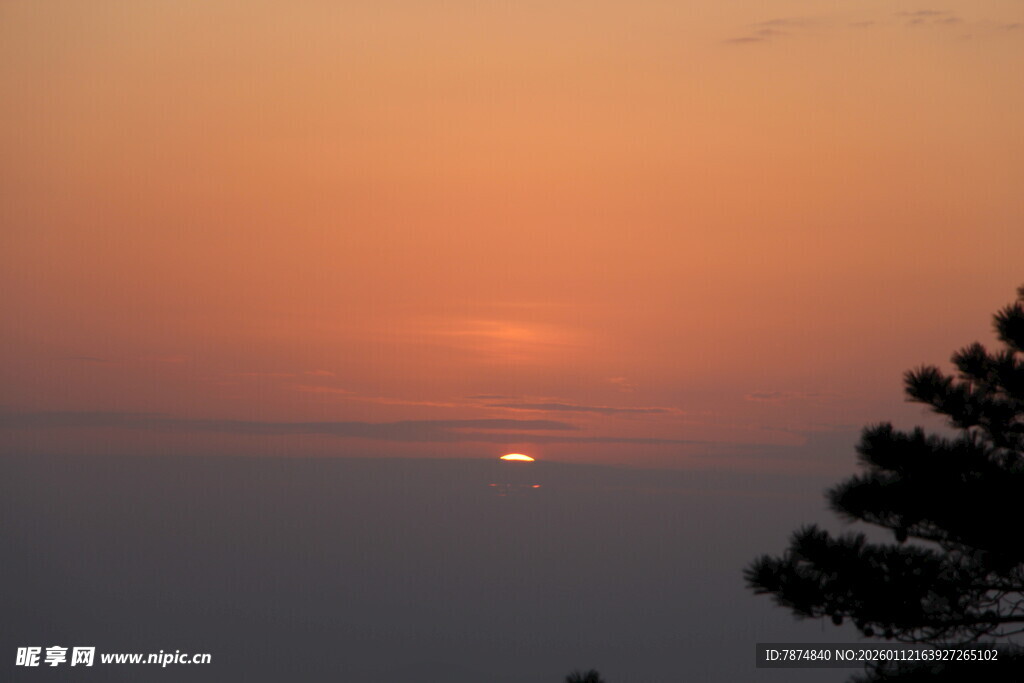 日落时分的树影与霞光