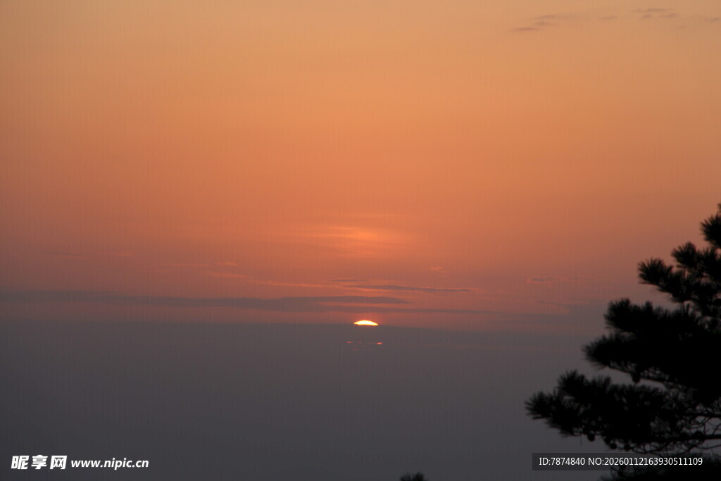 日落时分的树梢与天际