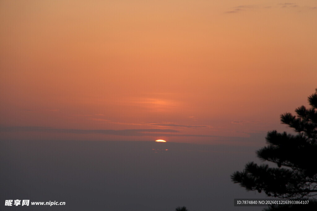 日落时分的树梢与天际