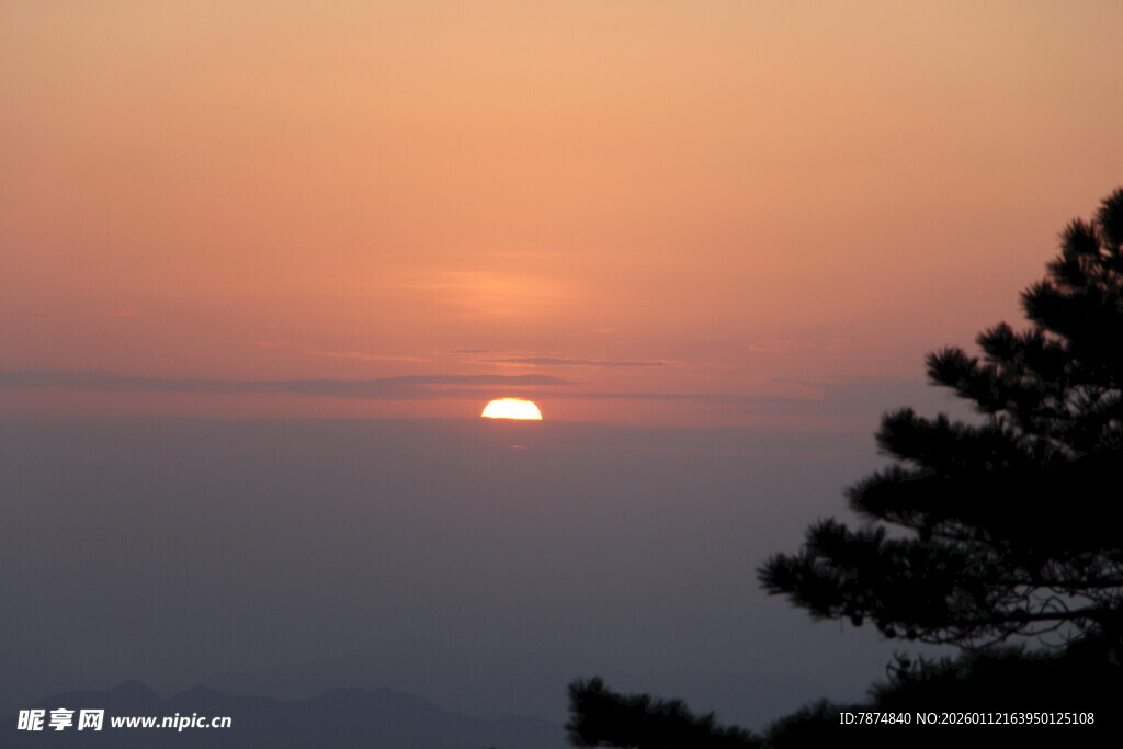 夕阳西下树梢间美景