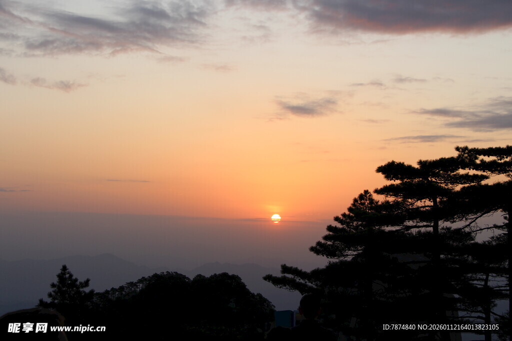 日落时分的树木与天空