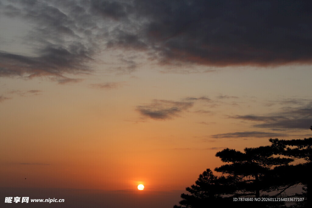 日落时分的树梢与霞光