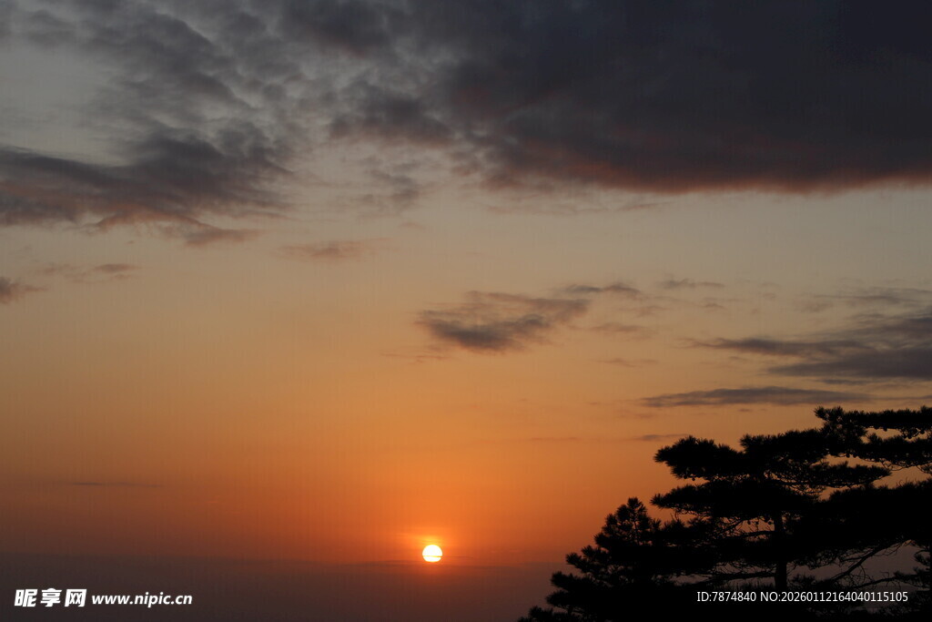 日落时分的天空与树木