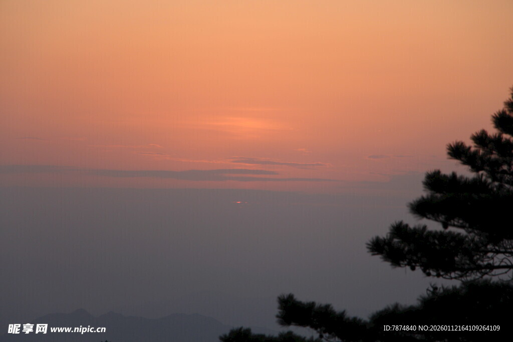 夕阳下的树梢与远方天际