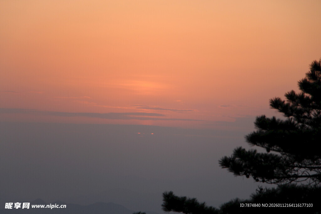 日落时分的树影与霞光