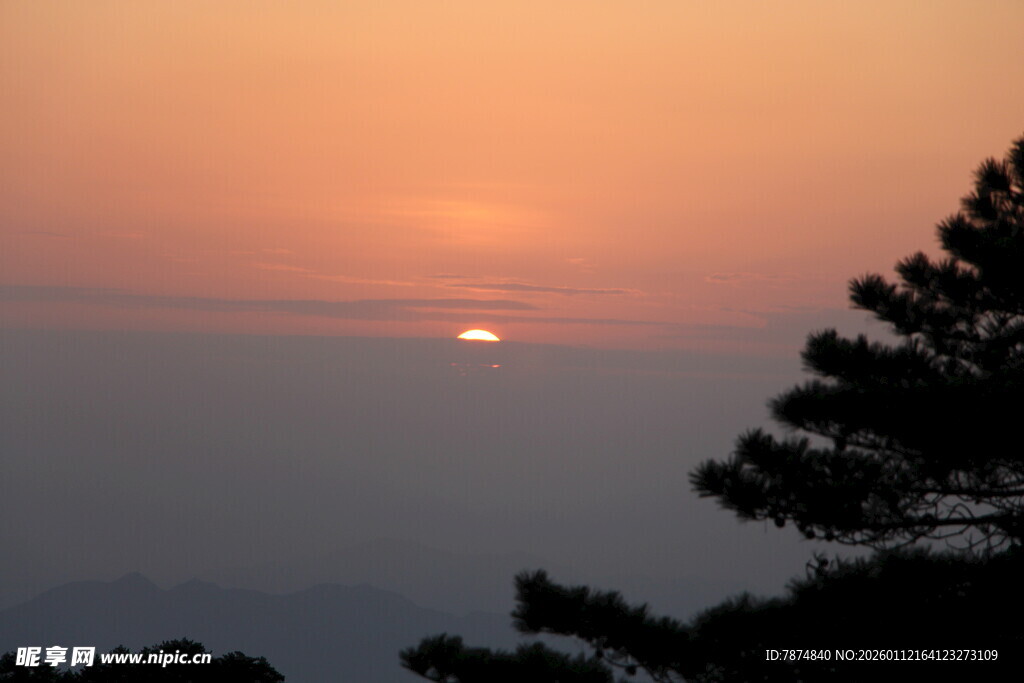 夕阳西下 树影绰约