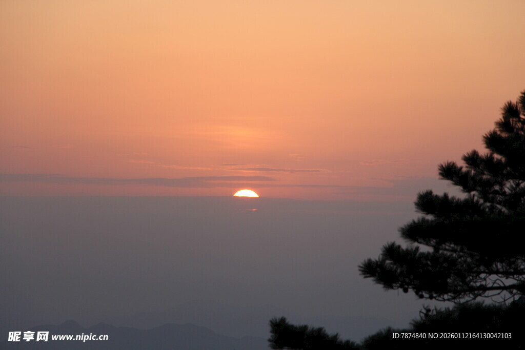 日落时分的树梢美景