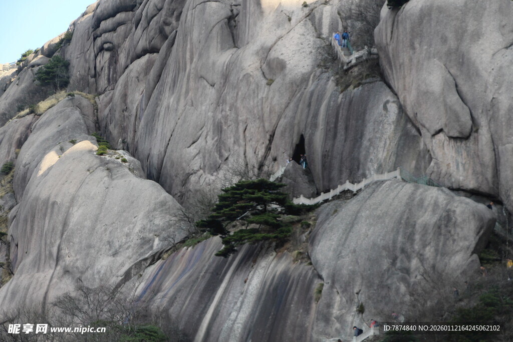 险峻山石间的一抹绿意