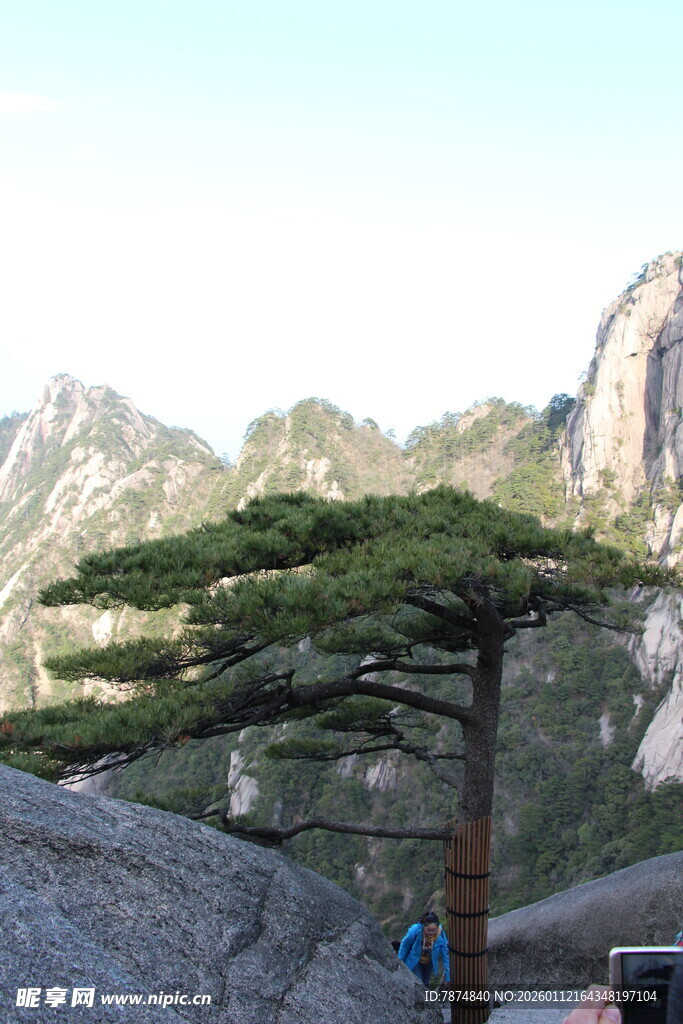 黄山迎客松 壮丽山景