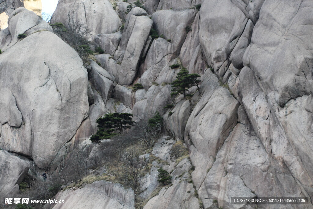 嶙峋怪石间的一抹绿意