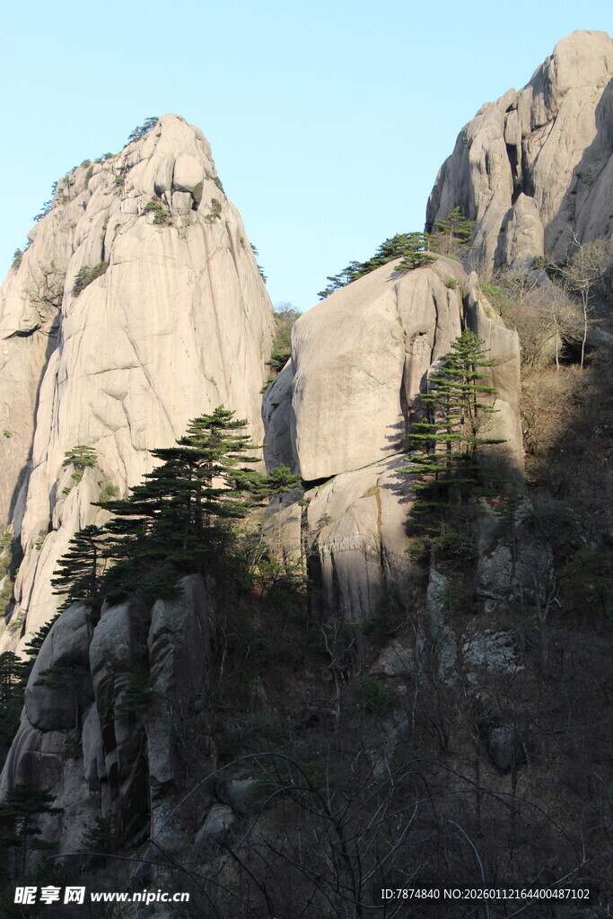 巍峨山峰间的挺拔树木