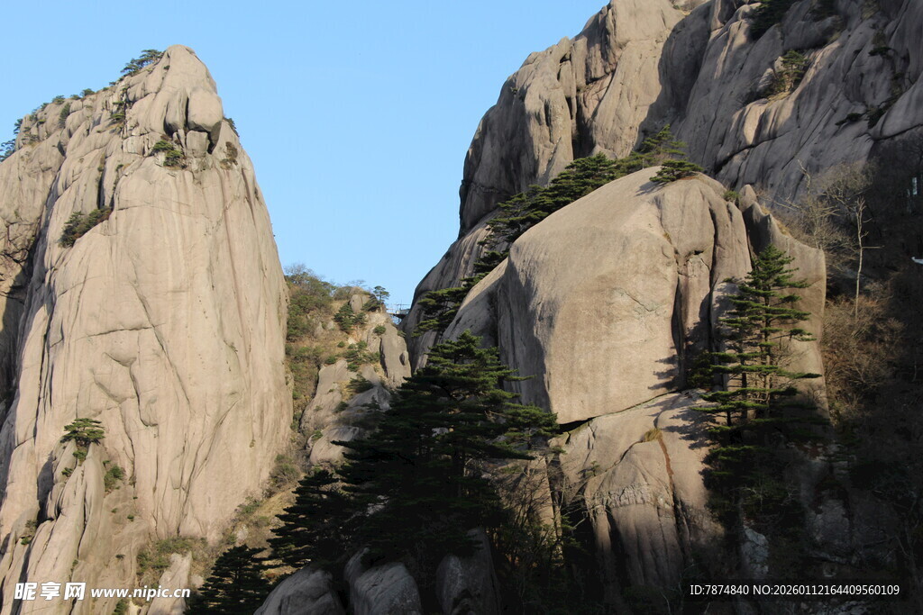巍峨山峰与葱郁树木景观