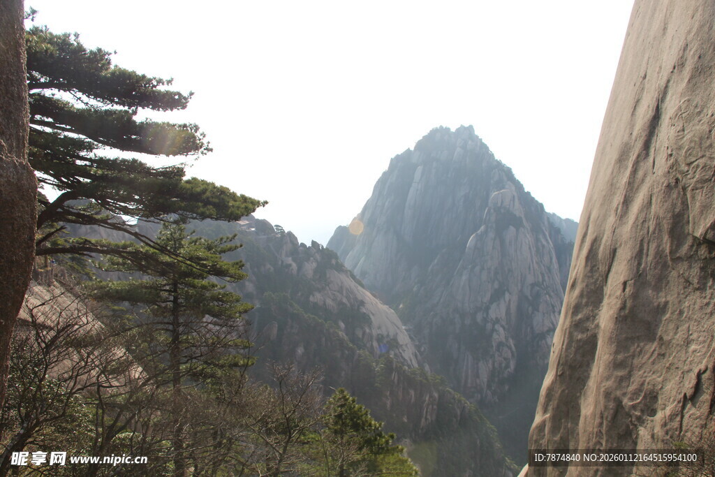 黄山奇峰与苍松景观
