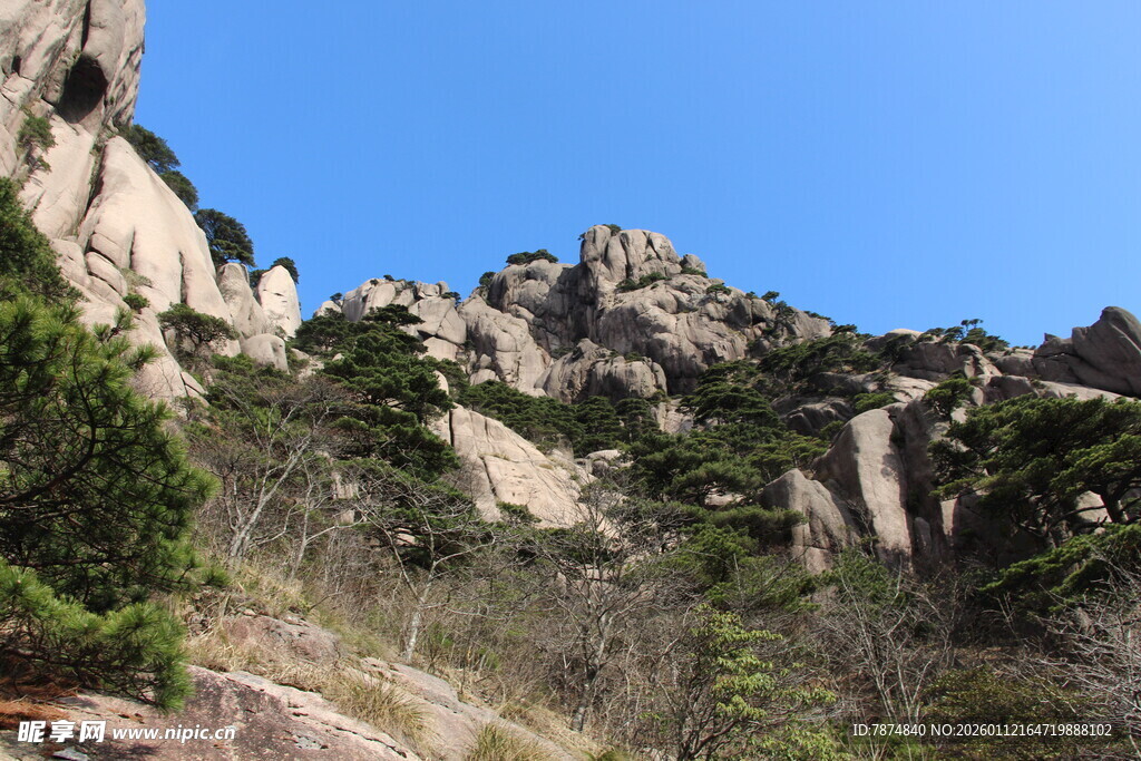 峻峭山峦与葱郁植被景观