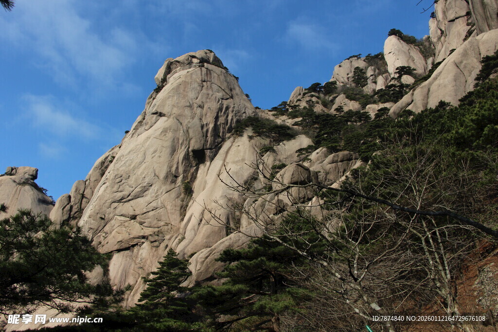 巍峨山峰与葱郁植被