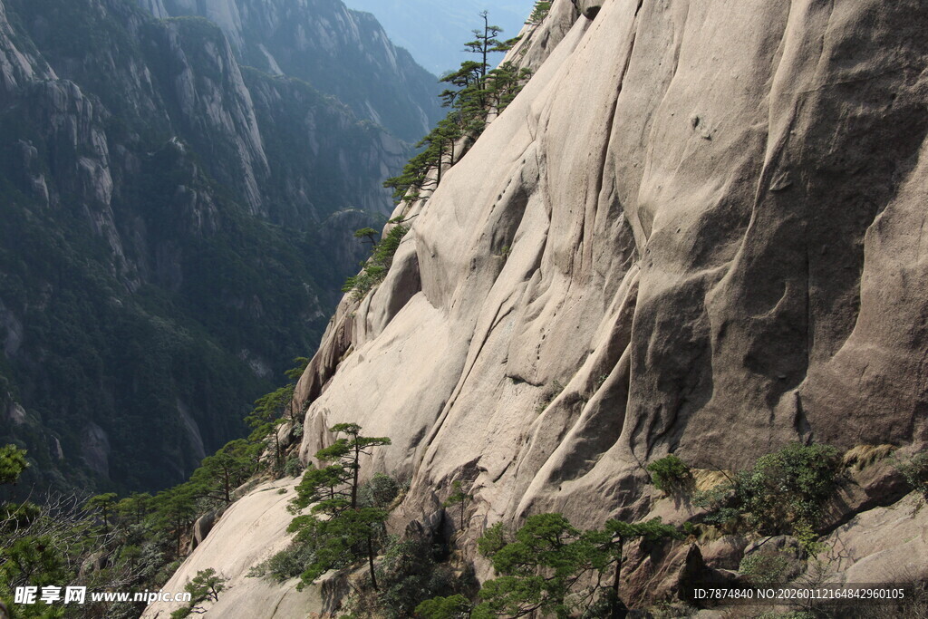险峻山壁上的零星绿植