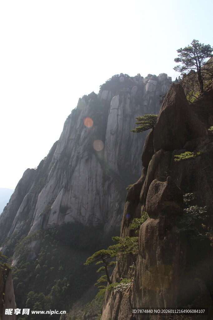 巍峨山峰与峭壁上的树木