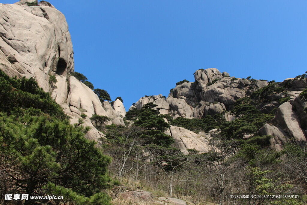 峻峭山石与葱郁植被景观