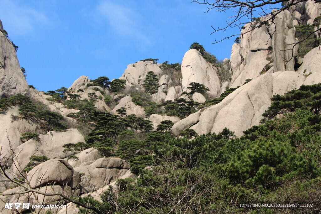嶙峋山石与葱郁植被景观