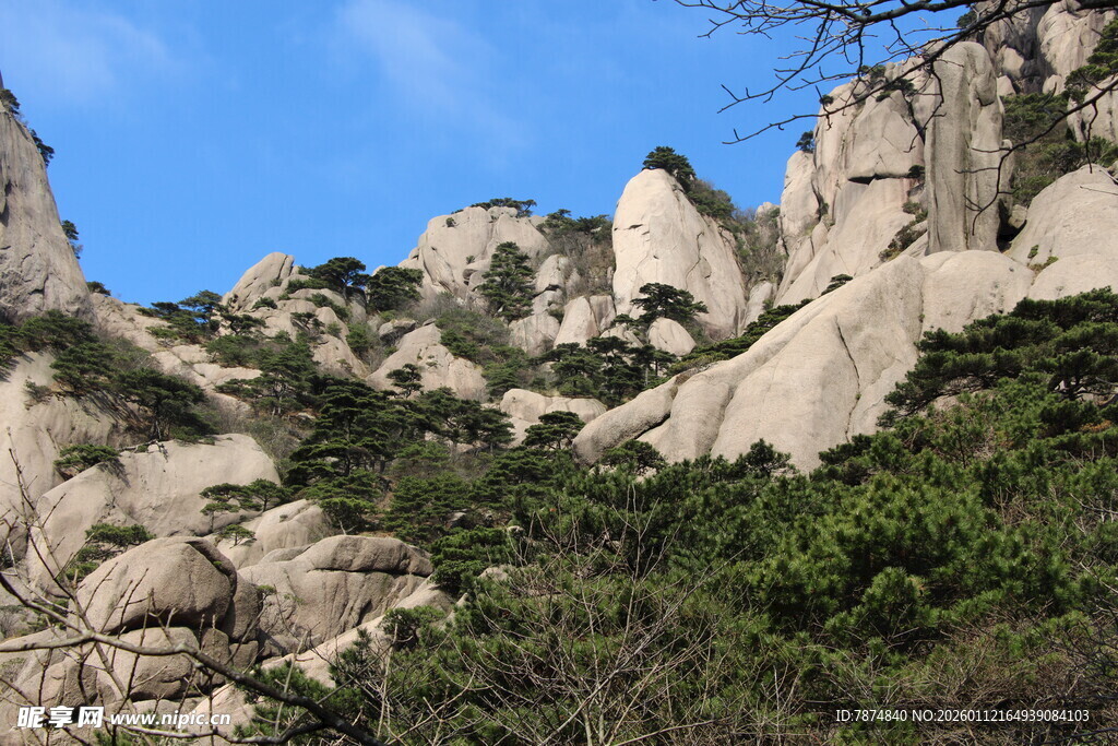 峻峭山石与葱郁植被景观