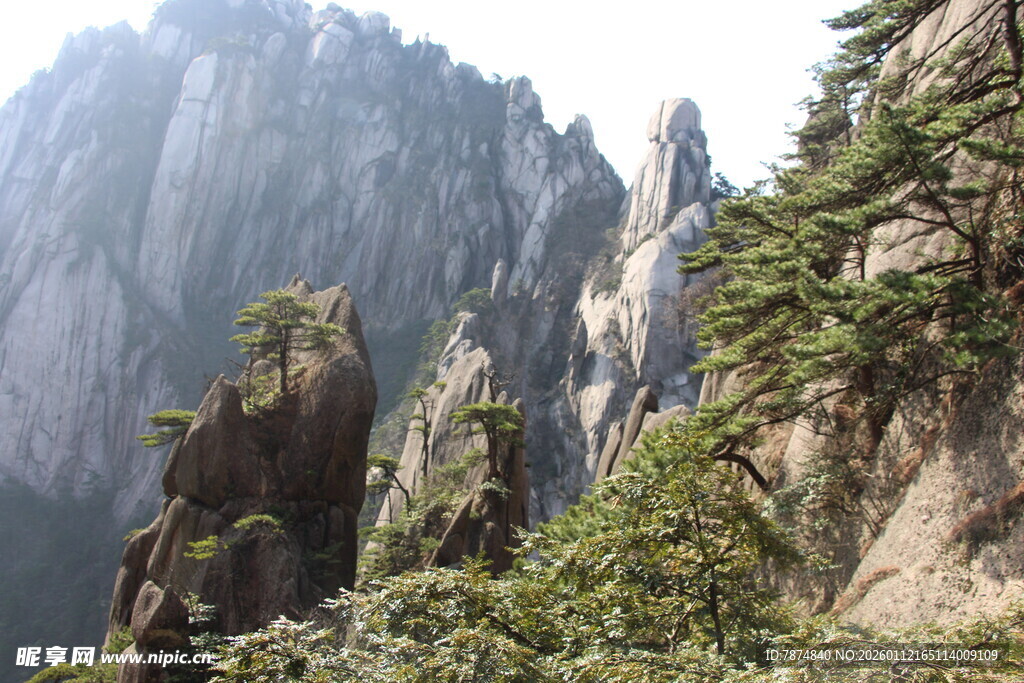 壮丽黄山奇峰景观