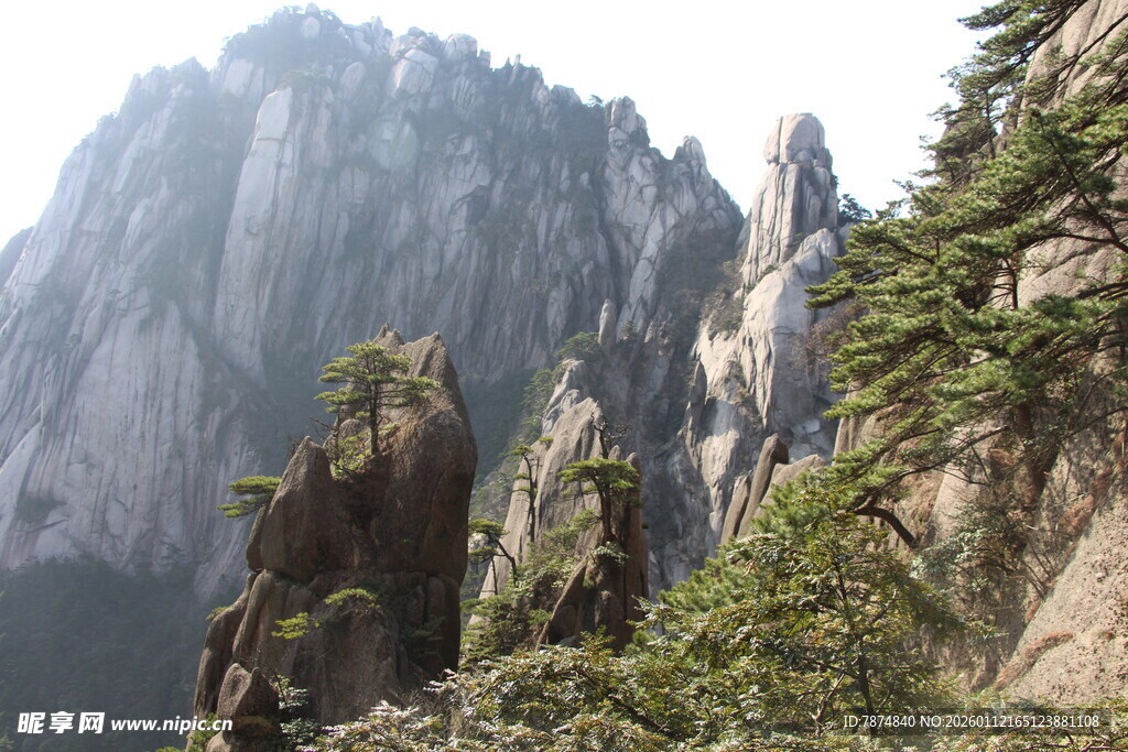 巍峨黄山奇峰 绿意点缀