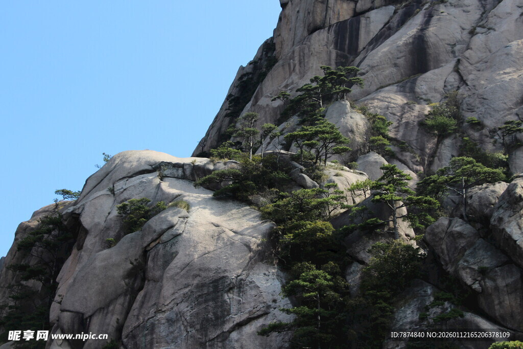 峻峭山石上的翠绿植被
