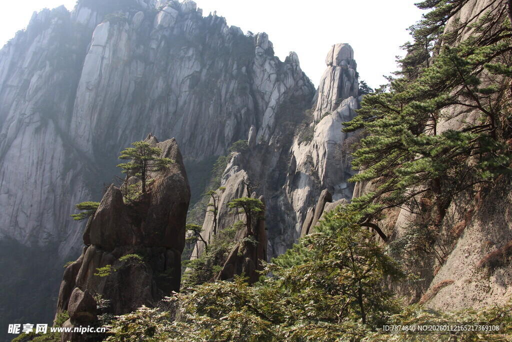 黄山奇峰异松壮美景观