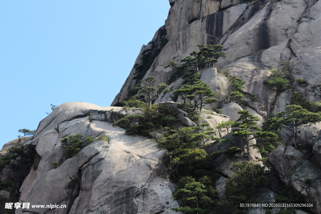 峻峭山峰上的顽强绿植