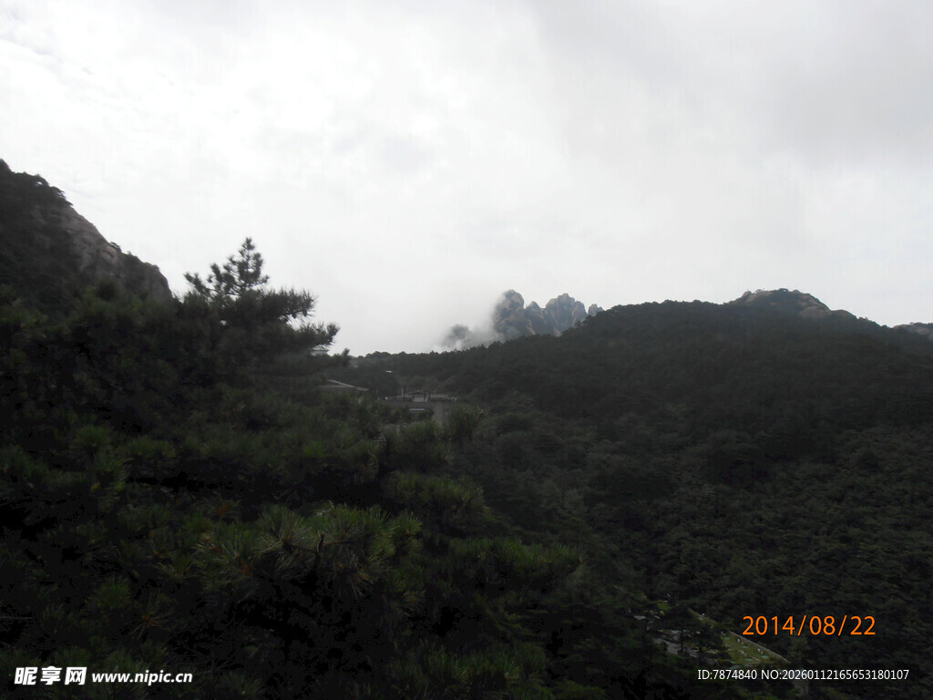 云雾缭绕的山林景色