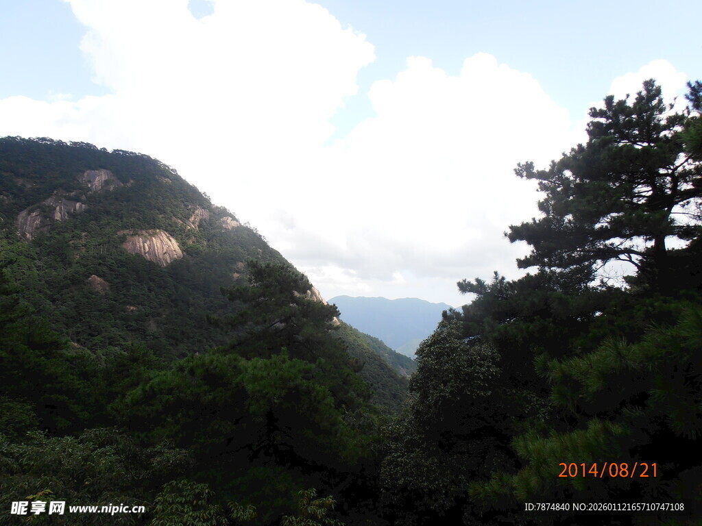 山林景致 绿意盎然的自然