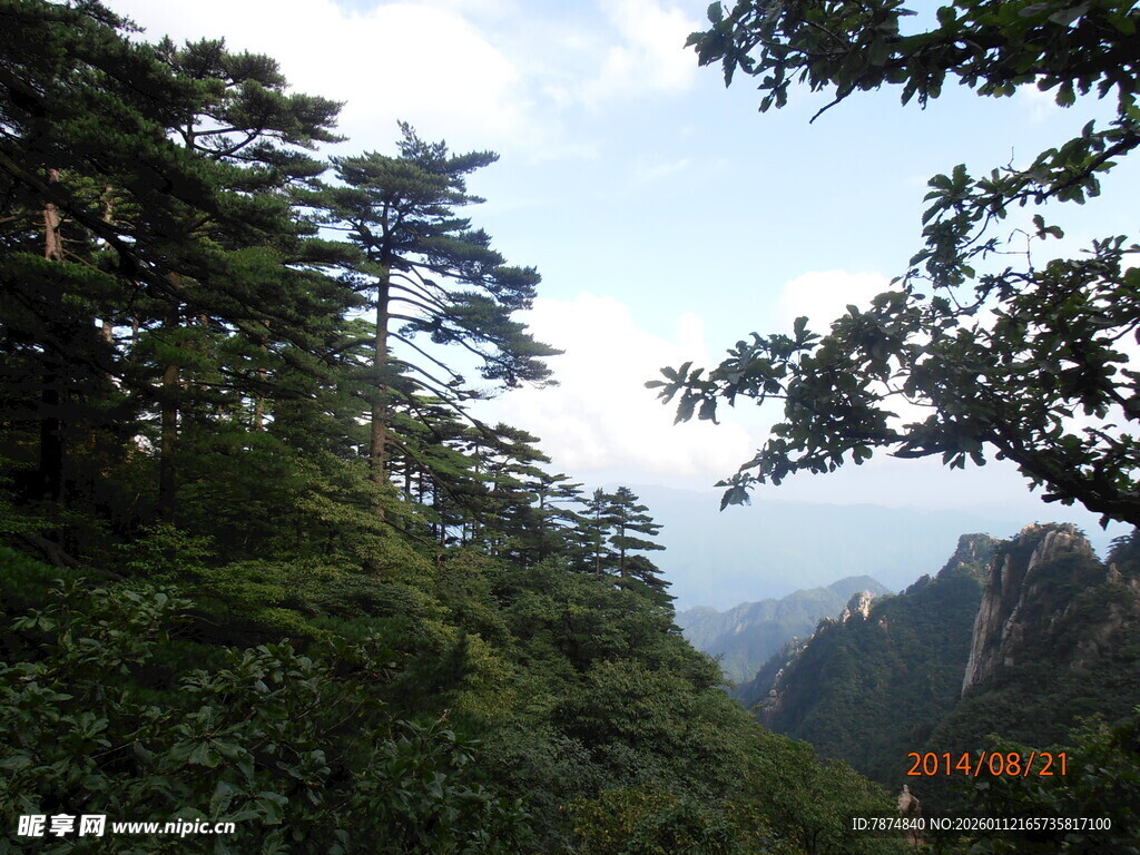 山林葱郁间的自然景致