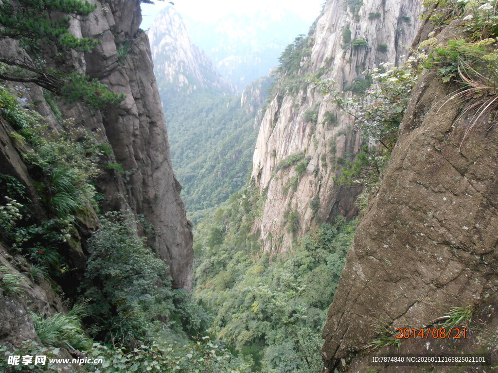 山间峡谷绿意盎然景色美