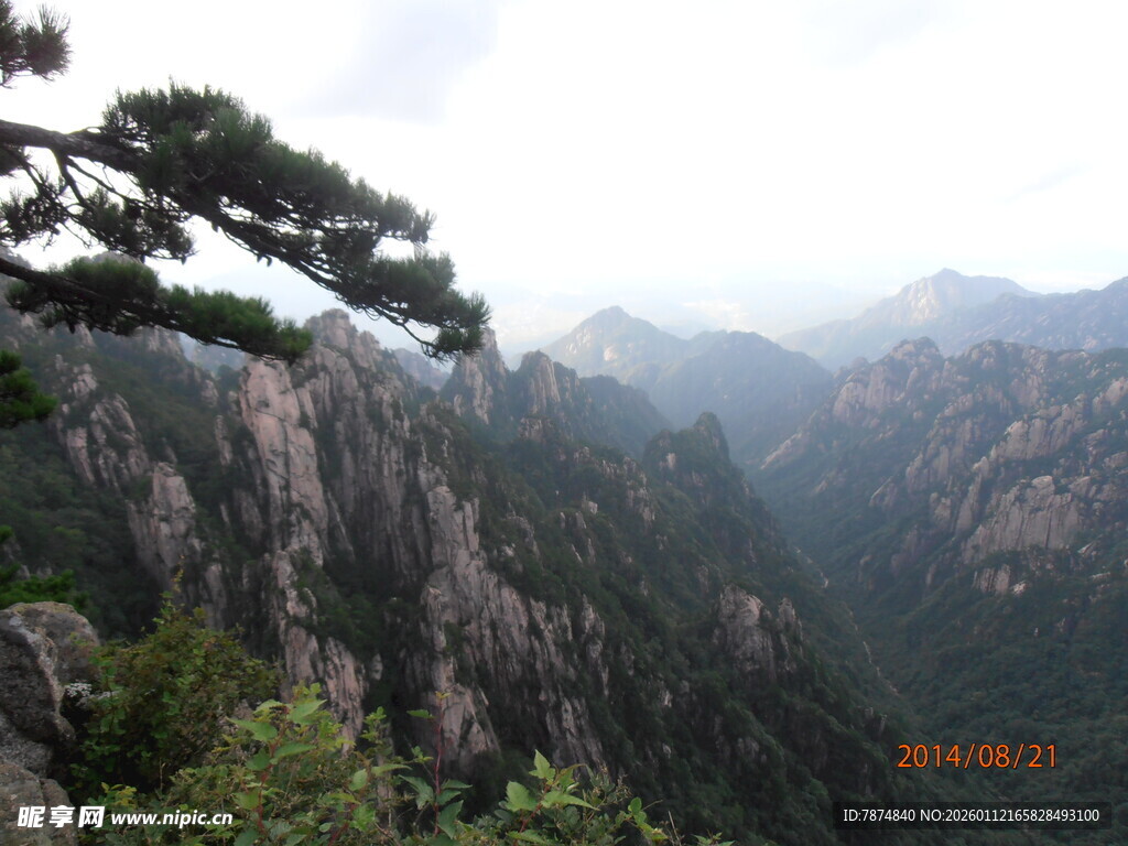 黄山奇峰与苍松景观