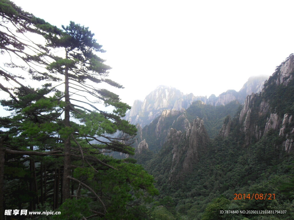 黄山秀丽山林景观