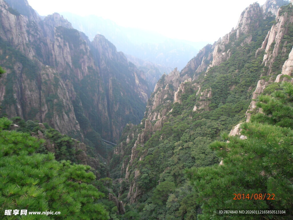 壮丽山峦间的葱郁景致