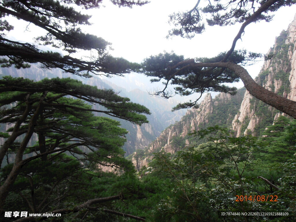 黄山松景 山峦隐于云雾间